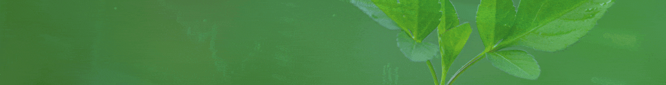 COR_Banner